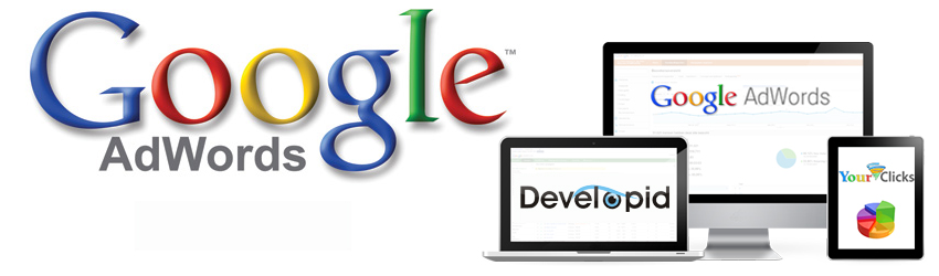 Google Adwords met advies van DevelopID